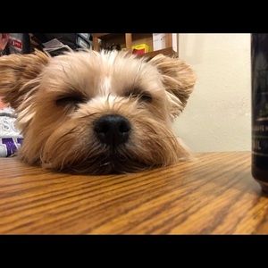 Meet your Posher, Pegi